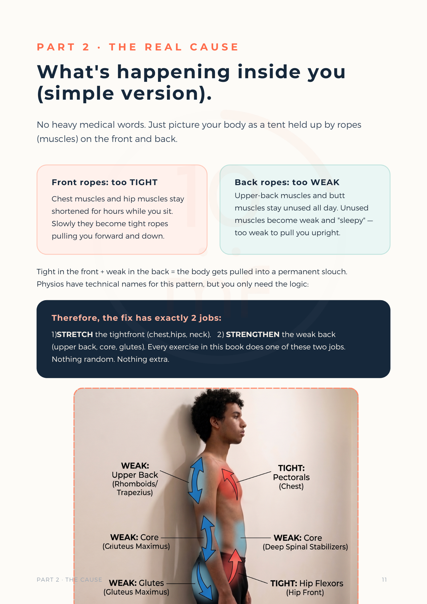 Inside the book — what's happening inside your body