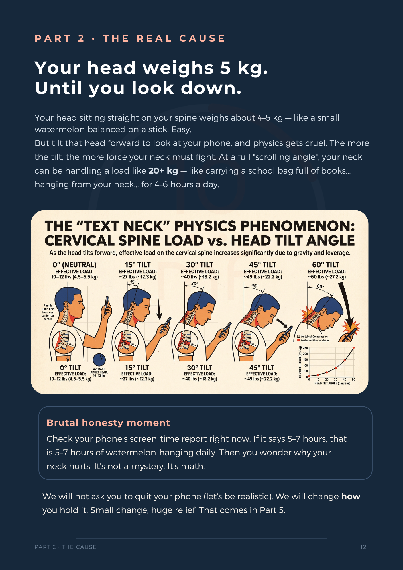 Inside the book — your head weighs 5 kg